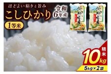 ★1等米★ コシヒカリ 10kg (5kg × 2袋)【令和6年産】米 精米 白米 こしひかり 茨城県 鹿嶋市 国産 送料無料 お米 ごはん おにぎり 冷めても 美味しい 粘り うまみ 厳選 出荷直前精米 ツヤ かおり うまい（KY-1）
