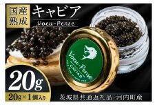 【茨城県共通返礼品・河内町産】＼12月より発送 先行予約／国産熟成キャビアVoeu-Pense (20g×１瓶）【トキタ 珍味 コラーゲン DHA・EPA 国産 熟成 お土産  贈り物】（KED-01)