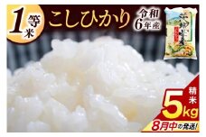 ★1等米★ コシヒカリ 5kg (5kg × 1袋)【令和6年産】米 精米 白米 こしひかり 茨城県 鹿嶋市 国産 送料無料 お米 ごはん おにぎり 冷めても 美味しい 粘り うまみ 厳選 出荷直前精米 ツヤ かおり うまい（KY-19）