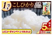 ＼レビューキャンペーン対象 在庫わずか／★1等米★ コシヒカリ 5kg (5kg × 1袋)【令和6年産】米 精米 白米 こしひかり 茨城県 鹿嶋市 国産 送料無料 お米 ごはん おにぎり 冷めても 美味しい 粘り うまみ 厳選 出荷直前精米 ツヤ かおり うまい（KY-19）