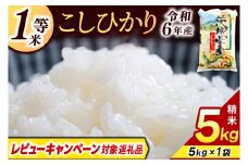 ＼レビューキャンペーン対象 在庫わずか／★1等米★ コシヒカリ 5kg (5kg × 1袋)【令和6年産】米 精米 白米 こしひかり 茨城県 鹿嶋市 国産 送料無料 お米 ごはん おにぎり 冷めても 美味しい 粘り うまみ 厳選 出荷直前精米 ツヤ かおり うまい（KY-19）