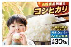 【6ヶ月定期便】★新米 令和7年★ 米 精米 白米 5kg (総計 30kg)「こしひかり」先行予約 鹿嶋市産【令和7年産 コシヒカリ お米 コメ ごはん ライス ブランド米 茨城県 鹿嶋市】(KEJ-5)