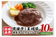 茨城県産 常陸牛 & 美明豚 手づくりハンバーグ 200g×10個 計2kg 国産 和牛 牛 牛肉 ブランド牛 SPF豚 肉厚 ジューシー デミグラスソース 煮込み 湯煎で簡単調理 贈答用 ギフト 冷凍配送 茨城県 潮来市 (A12-005)