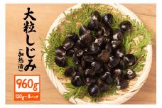 茨城県産 大粒しじみ 加熱済 120g×8パック 国産 しじみ シジミ 涸沼川産 砂抜き不要 調理簡単 味噌汁 すまし汁 つくだ煮 貝専門店の厳選品 贈答用 ギフト 常温 茨城県 潮来市 (A14-001)