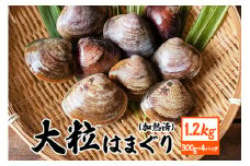 茨城県産 大粒はまぐり 加熱済 300g×4パック 国産 はまぐり ハマグリ 鹿島灘産 砂抜き不要 調理簡単 酒蒸し お吸い物 つくだ煮 貝専門店の厳選品 贈答用 ギフト 常温 茨城県 潮来市 (A14-002)
