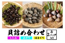 貝詰め合わせ しじみ 120g×2 あさり 120g×2 はまぐり 300g×2 加熱済 国産 茨城県産 鹿島灘 涸沼川 砂抜き不要 酒蒸し お吸い物 つくだ煮 パスタ 貝専門店の厳選品 贈答用 ギフト 常温 茨城県 潮来市 (A14-003)