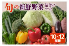旬の新鮮野菜 詰め合わせセット 10～12種類 季節の野菜 農家直送 朝採れ 採れたて 野菜 詰合せ セット 詰め合わせ シャキシャキ 産地直送 無農薬栽培含む 道の駅いたこ 人気 贈答用 ギフト 家庭用 茨城県 潮来市 (A04-002)