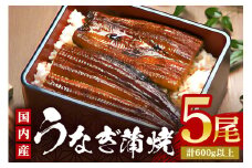 やわらか国内産 うなぎ蒲焼 満足サイズ! 120～140g 5尾 計600g以上 ふっくら蒲焼き ブランド鰻使用 秘伝のタレ・山椒付き 湯煎で簡単調理 うな丼 ちらし寿司 贈答用 ギフト 冷蔵配送 茨城県 潮来市 (A23-015)
