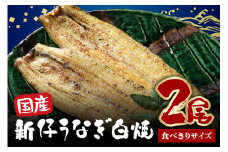 食べ切りサイズ! 国内産 うなぎ 白焼 ( 酒蒸 ) 100～120g 2尾 計200g以上 ふっくら 柔らか 鰻本来の旨味 ワサビ醤油 蒲焼のタレ 山椒付き 湯煎 簡単調理 贈答用 ギフト 冷蔵配送 茨城県 潮来市 (A23-016)