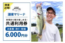潮来マリーナ 施設内共通利用券 6,000円分 (1,000円×6枚) へらブナ釣り ブラックバス釣り ニジマス釣り 渚食堂 バスボート駐艇場利用可能 釣り堀体験 レジャー チケット 茨城県 潮来市 (A49-002)