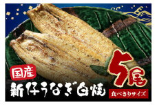 食べ切りサイズ! 国内産 うなぎ 白焼 ( 酒蒸 ) 100～120g 5尾 計500g以上 ふっくら 柔らか 鰻本来の旨味 ワサビ醤油 蒲焼のタレ 山椒付き 湯煎 簡単調理 贈答用 ギフト 冷蔵配送 茨城県 潮来市 (A23-029)