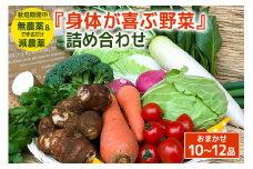 『身体が喜ぶ野菜』詰め合わせ ( おまかせ 10～12品) 野菜 詰合せ 詰め合わせセット お任せ 季節の野菜 セット 栽培期間中農薬不使用 有機栽培 微生物農法 EM農法 露地栽培 産地直送 新鮮 野菜ボックス ギフト 家庭用 茨城県 潮来市 (A03-001)