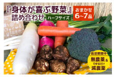 ＜ハーフサイズ＞ 『身体が喜ぶ野菜』詰め合わせ ( おまかせ ) 野菜 詰合せ 詰め合わせセット お任せ 季節の野菜 セット 栽培期間中農薬不使用 有機栽培 微生物農法 EM農法 露地栽培 産地直送 新鮮 野菜ボックス ギフト 家庭用 茨城県 潮来市 (A03-002)