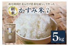 令和7年産新米 白米 5kg 栽培期間出来るだけ農薬を減らして作った「かすみ米」 茨城県産 コシヒカリ 米 お米 ご飯 ごはん 低農薬 しめじ菌床活用 甘み豊か 粘土質土壌育ち 健康志向 自然栽培 産地直送 贈答用 ギフト 茨城県 潮来市 (A03-007)