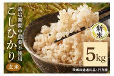 令和7年産新米 玄米 5kg 栽培期間中農薬不使用 こしひかり 茨城県産 米 お米 コメ ご飯 コシヒカリ 食味豊か 甘み 旨み 冷めても 美味しい お弁当 向け 食卓常備 産地直送 茨城県 潮来市 ＜茨城県共通返礼品・行方市産＞ (A03-012)