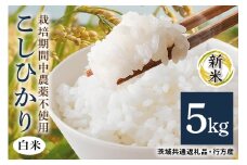 令和7年産新米 白米 5kg 栽培期間中農薬不使用 こしひかり 茨城県産 米 お米 コメ ご飯 コシヒカリ 食味豊か 甘み 旨み 冷めても 美味しい お弁当 向け 食卓常備 産地直送 茨城県 潮来市 ＜茨城県共通返礼品・行方市産＞ (A03-014)
