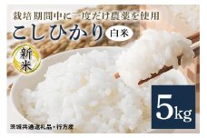 令和7年産新米 白米 5kg 栽培期間中できるだけ農薬を減らした＜ こしひかり＞ 茨城県産 米 お米 コメ ご飯 コシヒカリ 食味豊か 甘み 旨み 冷めても 美味しい お弁当 向け 食卓常備 産地直送 茨城県 潮来市 ＜茨城県共通返礼品・行方市産＞ (A03-016)
