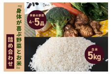 ＜白米 5kg＞『身体が喜ぶ野菜とお米』詰め合わせ おまかせセット 茨城県産 コシヒカリ 米 お米 ご飯 ごはん 栽培期間中農薬不使用 季節の野菜 セット 微生物農法 EM農法 有機栽培 産地直送 新鮮 家庭用 潮来はぐくみのもり 茨城県 潮来市 (A03-004)