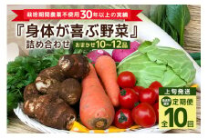 ＜発送月固定定期便＞『身体が喜ぶ野菜』詰め合わせ ( おまかせ 10～12品) 定期便 野菜 詰合せ 上旬発送全10回 詰め合わせセット お任せ 野菜定期便 季節の野菜 セット 有機栽培 EM農法 産地直送 野菜ボックス ギフト 家庭用 茨城県 潮来市 (A03-020)