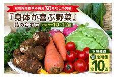 ＜発送月固定定期便＞『身体が喜ぶ野菜』詰め合わせ ( おまかせ 10～12品) 定期便 野菜 詰合せ 下旬発送全10回 詰め合わせセット お任せ 野菜定期便 季節の野菜 セット 有機栽培 EM農法 産地直送 野菜ボックス ギフト 家庭用 茨城県 潮来市 (A03-021)