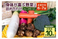 ＜発送月固定定期便＞『身体が喜ぶ野菜』詰め合わせ ( おまかせ ハーフサイズ) 定期便 野菜 詰合せ 全10回 詰め合わせセット お任せ 野菜定期便 季節の野菜 セット 有機栽培 EM農法 産地直送 新鮮 野菜ボックス ギフト 家庭用 茨城県 潮来市 (A03-022)