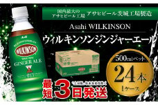 ウィルキンソン ジンジャーエール 500mlペット 24本入り1ケース