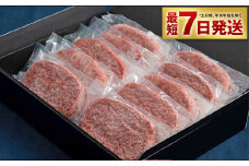 【常陸牛100%】ハンバーグ 10個(ソース付)