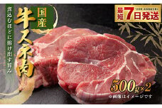 国産 牛スネ肉 500g×2 合計1kg 小分け 茨城県産 カレー シチュー 煮込み料理 冷凍