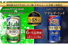 スタイルフリー(糖質0) 350ml缶 24本入＋ザ・リッチ 350ml缶 24本入 6ヶ月定期便