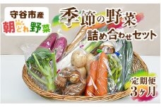【定期便】季節の野菜セット定期便