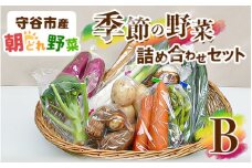 季節の野菜セットB
