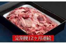 【定期便】【国産】牛すじ肉 1kg(500g×2) 12ヶ月連続お届け