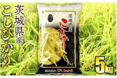 令和5年産茨城コシヒカリ　5kg【お米・コシヒカリ・米・5kg】