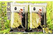 令和5年産茨城コシヒカリ　5kg×2【お米・コシヒカリ・米・10kg】