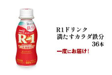R－1ドリンク満たすカラダ鉄分　36本