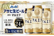 定期便【６か月】アサヒ生ビール（マルエフ）500ml×24本（1ケース）