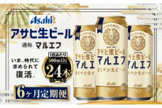 定期便【６か月】アサヒ生ビール（マルエフ）500ml×24本（1ケース）