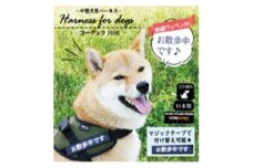 【中型犬用】ハーネス　コーデュラ×刺繍ワッペン付（お散歩中）ネイビー◇