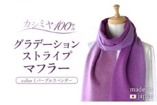 カシミヤ100% グラデーション ストライプ マフラー パープルラベンダー RF408 長さ 190cm 幅 25cm