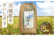 令和5年茨城県産コシヒカリ5kg【玄米】