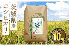 令和5年茨城県産コシヒカリ10kg【玄米】