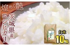 煌めく艶 令和6年茨城県産コシヒカリ10kg【白米】◆