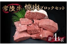 焼肉ブロックセット 合計4kg 牛肉 サーロイン ミスジ カルビ