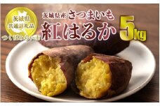 【先行予約】さつまいも 紅はるか 約5kg 旬 芋 お芋 サツマイモ【茨城県共通返礼品 つくばみらい市】　※2024年11月上旬頃より順次発送予定