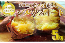【先行予約】さつまいも シルクスイート 約5kg	旬 芋 お芋 サツマイモ【茨城県共通返礼品 つくばみらい市】　※2024年11月上旬頃より順次発送予定