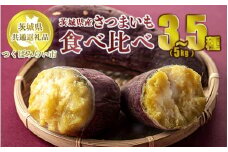 【先行予約】さつまいもの食べ比べ 3～5種類 旬 芋 お芋 サツマイモ【茨城県共通返礼品 つくばみらい市】 ※2024年11月上旬頃より順次発送予定