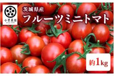 フルーツミニトマト 約1kg 茨城県産