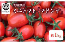 ミニトマト (マドンナ) 約1kg 茨城県産