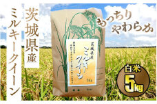 ☆もっちりやわらか 令和5年 茨城県産ミルキークイーン5kg【白米】