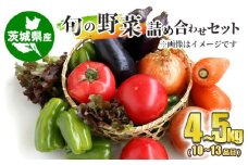 旬の野菜詰め合わせセット 10~13品目 約4~5kg